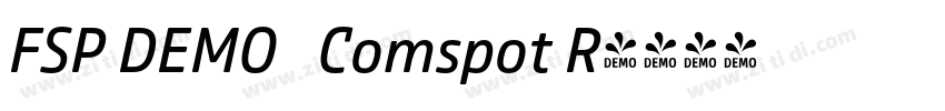 FSP DEMO   Comspot R字体转换